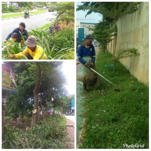 Read more about the article Sanitasi, Pangkas rumput & Perapiaan pohon