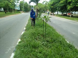 Read more about the article Pemangkasan rumput wilayah 2