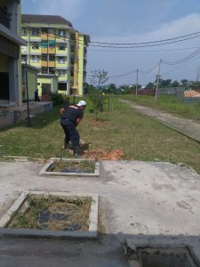 Read more about the article Tanam ketapang kencana di Rusunawa