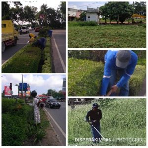 Read more about the article Sanitasi dan Pemeliharaan Taman